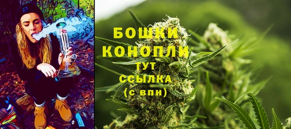 спайс Белокуриха