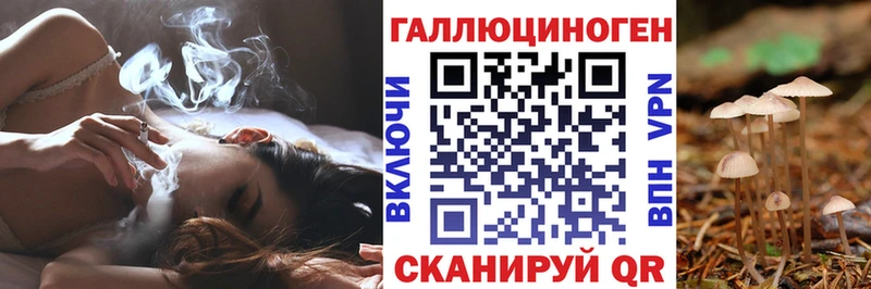 Купить где  Бологое  Псилоцибиновые грибы MAGIC MUSHROOMS 